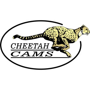 چیتا